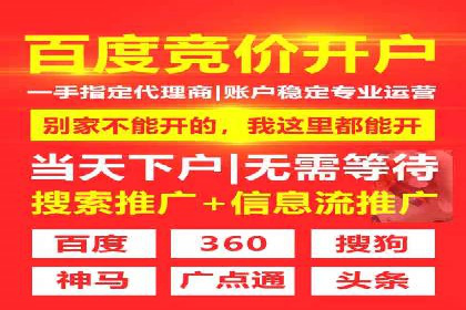 搜索引擎营销（SEM）专员的挑战与机遇